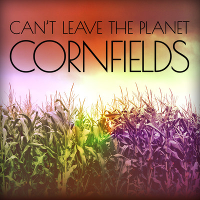 Cornfields