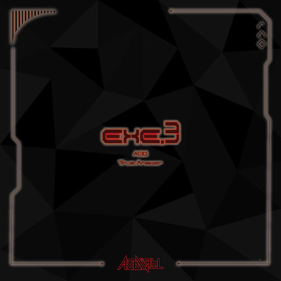 EXE.3