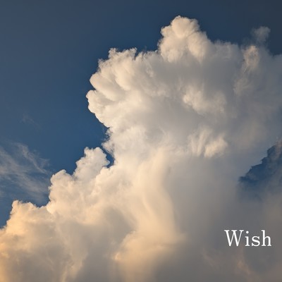 Wish