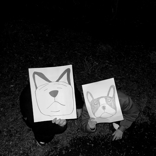 Boston terrier