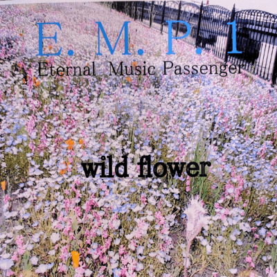 E.M.P.1 wild flower