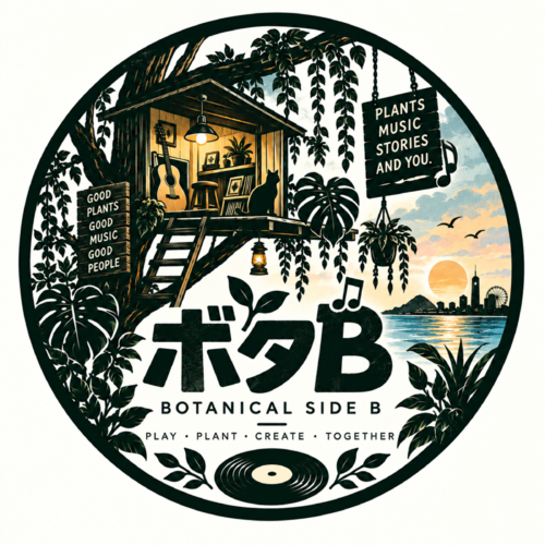 Bota B
