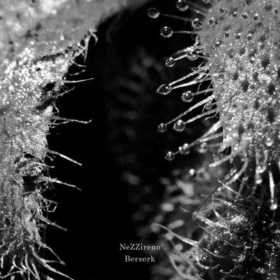 Berserk