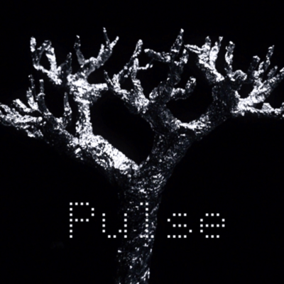 Pulse