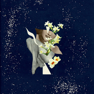Narcissus