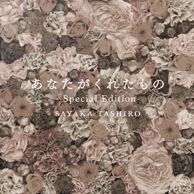 something you gave me - Special Edition-