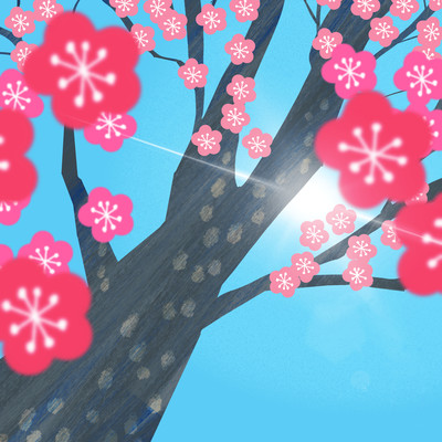 After the ume blossoms bloom