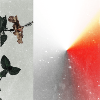 Additives park (feat. MR)