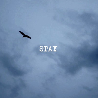STAY