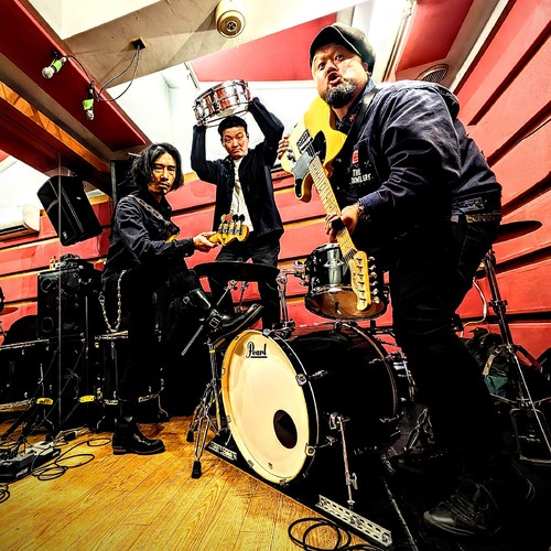 THE CRAWLERS