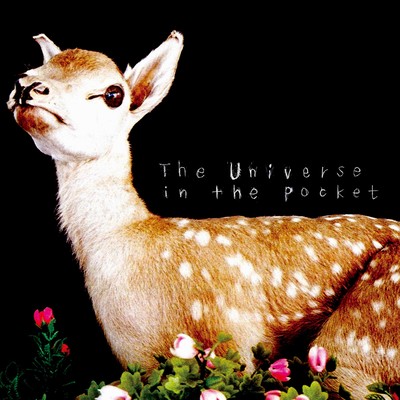 the universe in the pocket