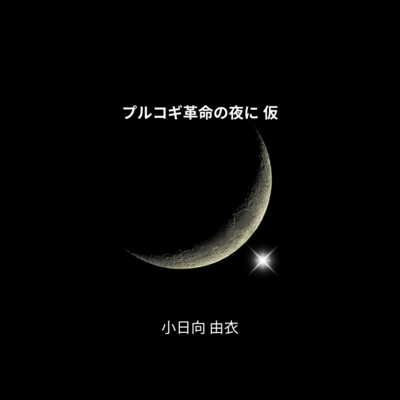 On the night of the Bulgogi revolution