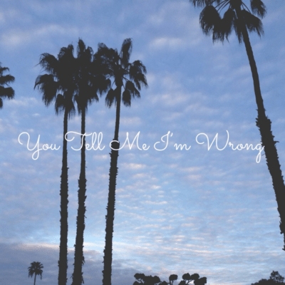 You Tell Me I'm Wrong