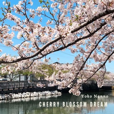 Cherry Blossom Dream