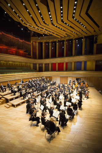 Budapest Symphony Orchestra