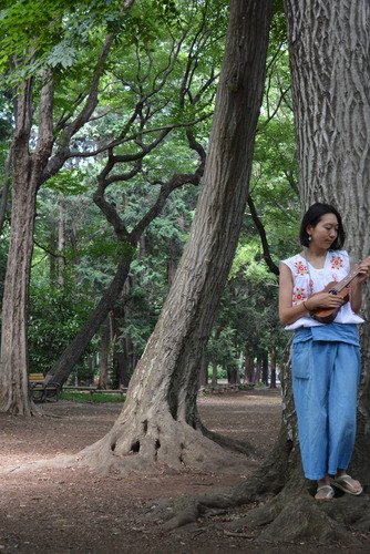 yae koitabashi