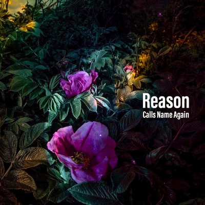 Reason