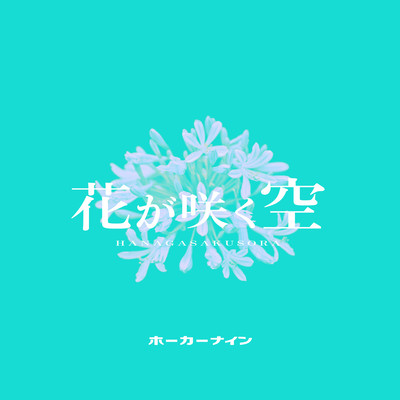 Flowers in the sky
