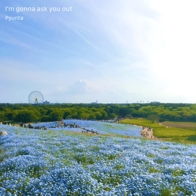 I'm gonna ask you out