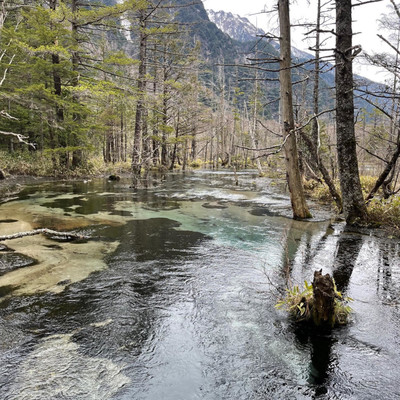 O Grande Amor (Cover)