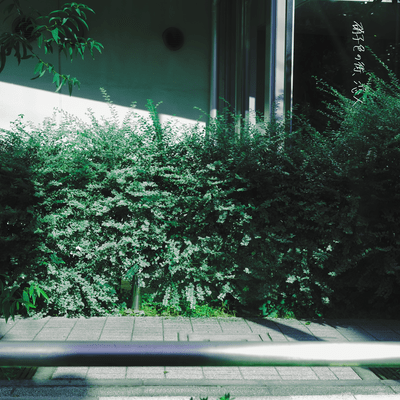 Glass colored city, my love