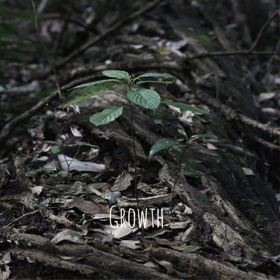 Growth