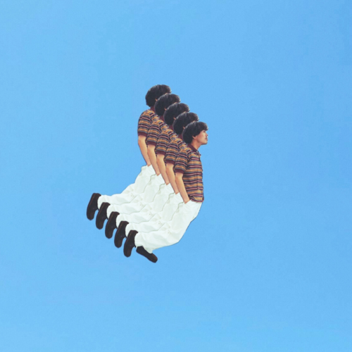 Cuckoo(ku-ku)
