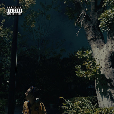 Thank you for everything. I'm going to live alone.