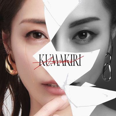 Daikiraidakedo Daisukinahito