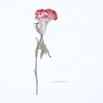 Commonplace