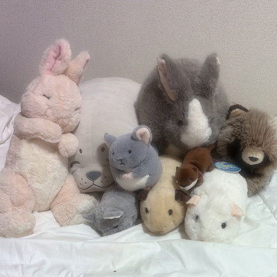 Family Pets