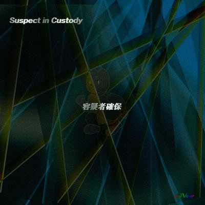 Suspect in Custody