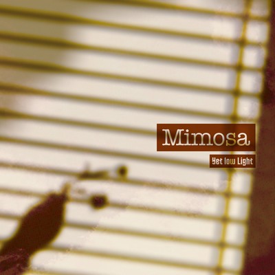 Mimosa