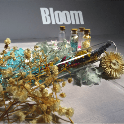 Bloom