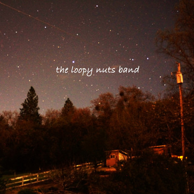 the loopy nuts band