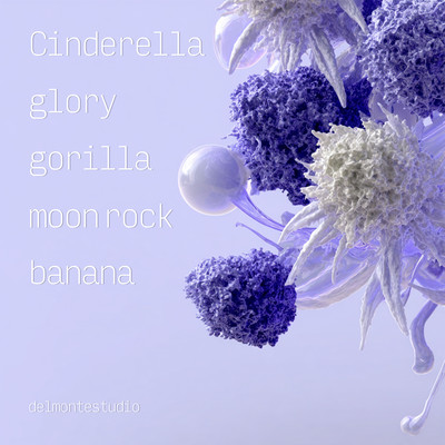 Cinderella glory gorilla moon rock banana