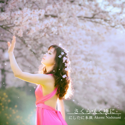 SAKURA II ~ Cherry Blosoms ~