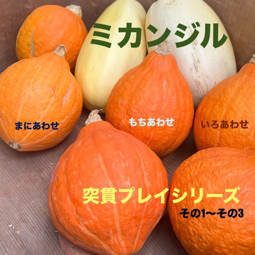 Mikanjiru