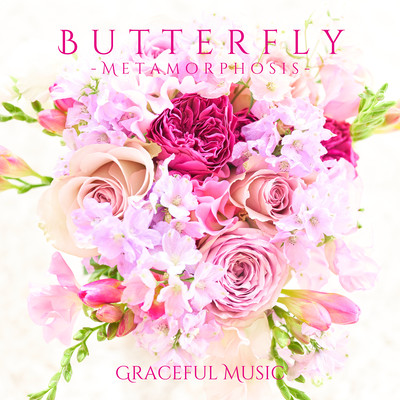 Butterfly -Metamorphosis-