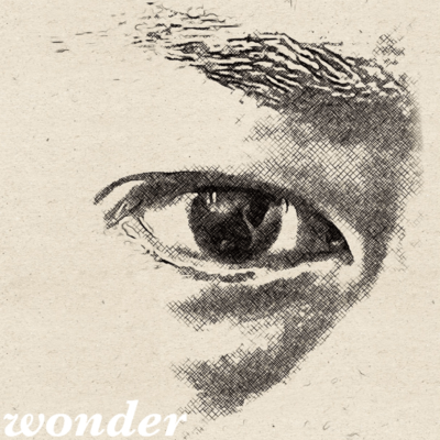 wonder