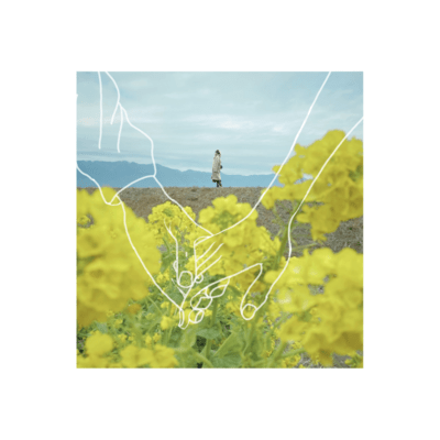 Rapeseed Blossom