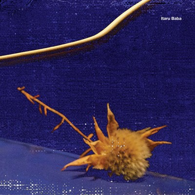 Devils (feat. arai tasuku)