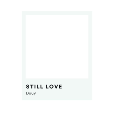 STILL LOVE