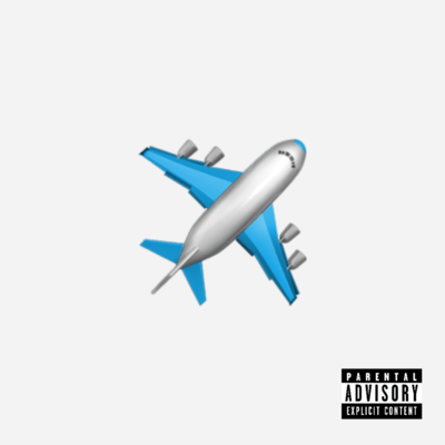 fly