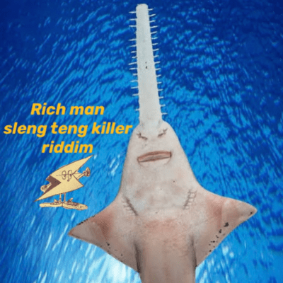 Rich man sleng teng killer riddim
