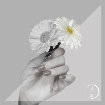 wakaranaindayo