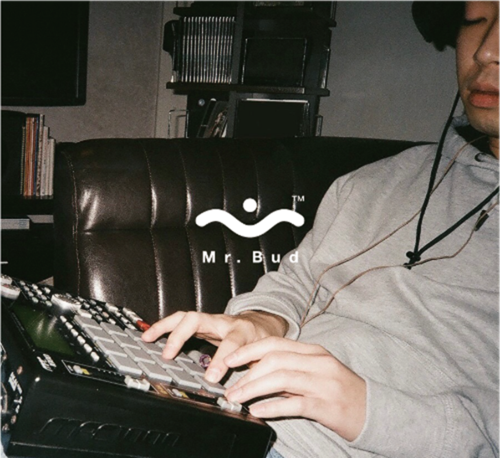 Mr.Bud