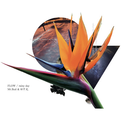 FLOW / rainy day