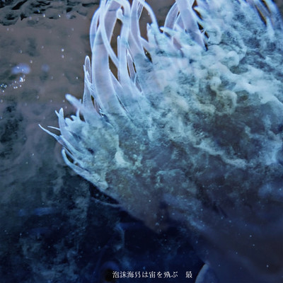 utakatakuragehasorawotobu