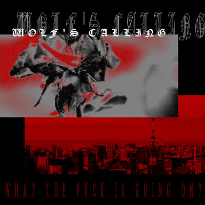 wolf's calling -what the fuck is going on?-